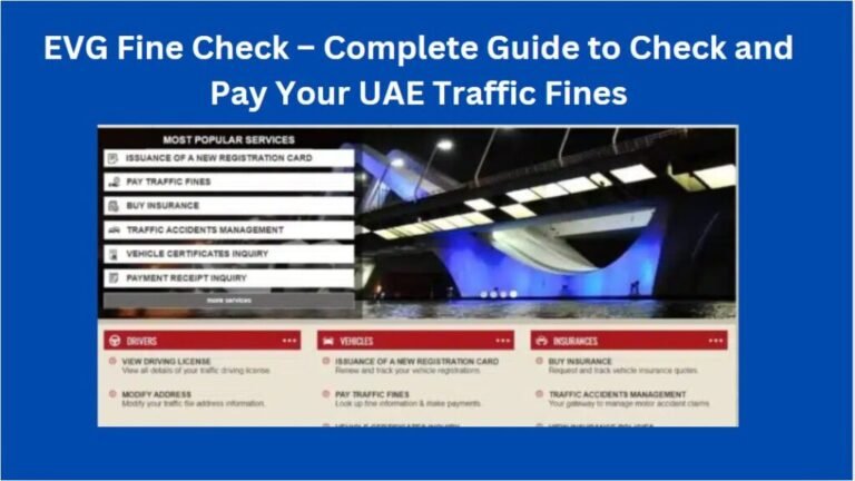 EVG-Fine-Check-1024x576